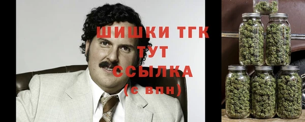 мдпв Михайловск