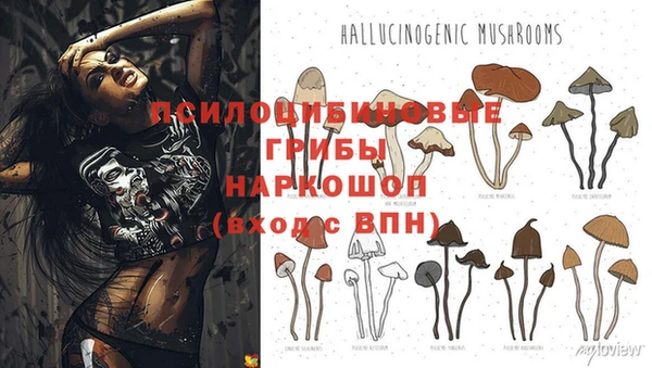 мдпв Михайловск
