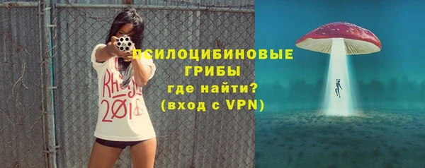 сатива Навашино