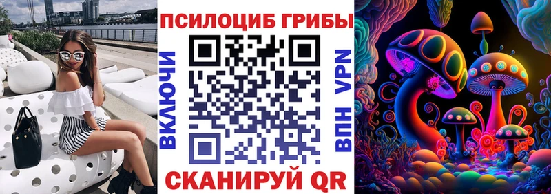 Купить где  Тейково  Псилоцибиновые грибы мицелий 